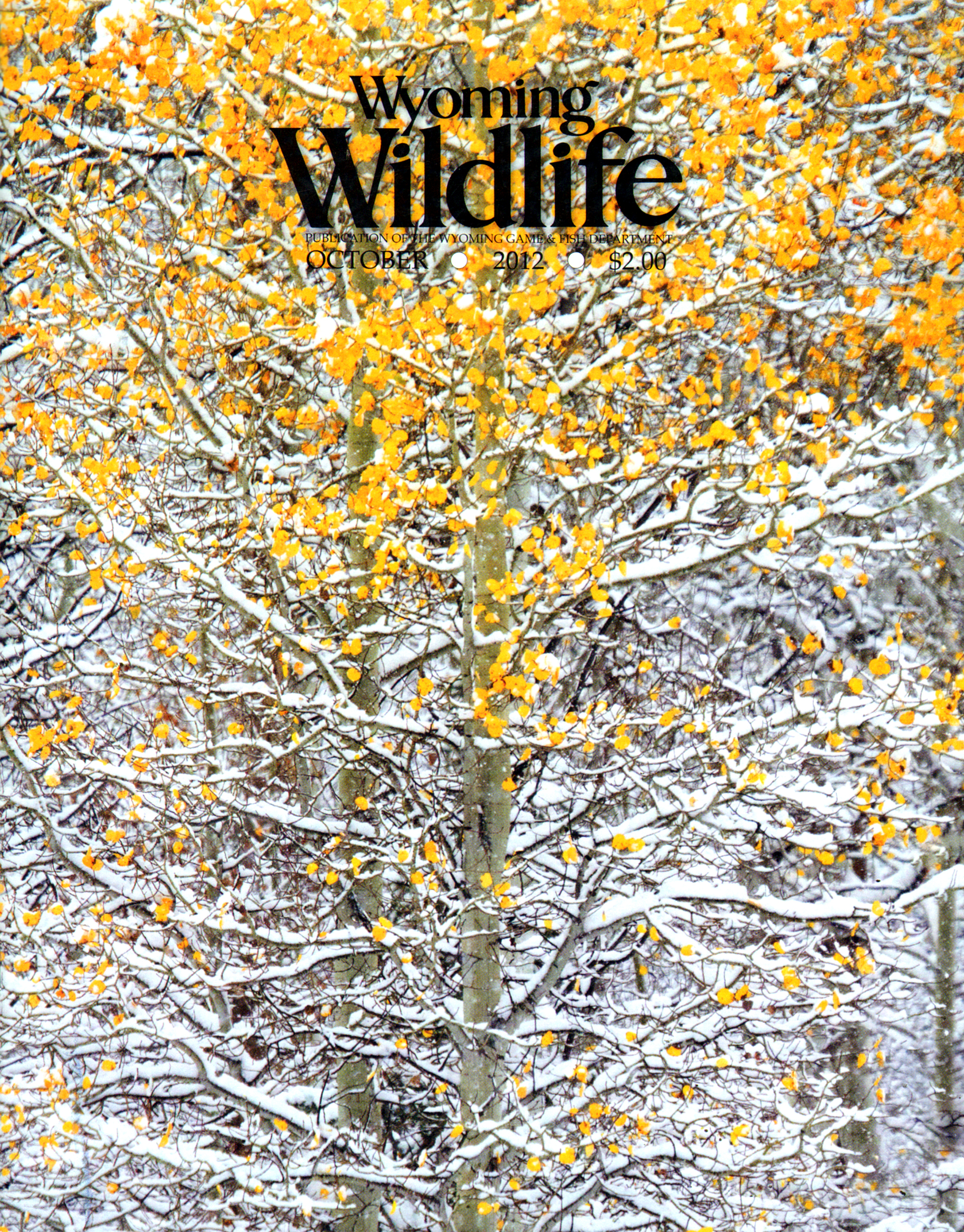 Wyoming-Wildlife October 01, 2012 Issue Cover