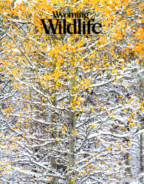 Wyoming-Wildlife October 01, 2012 Issue Cover