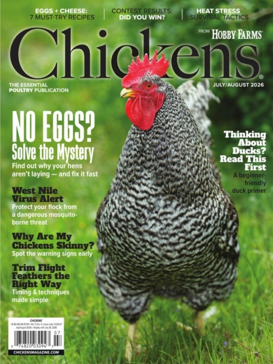 Chickens July 01, 2026 Issue Cover