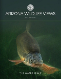 Arizona-Wildlife-Views May 01, 2025 Issue Cover