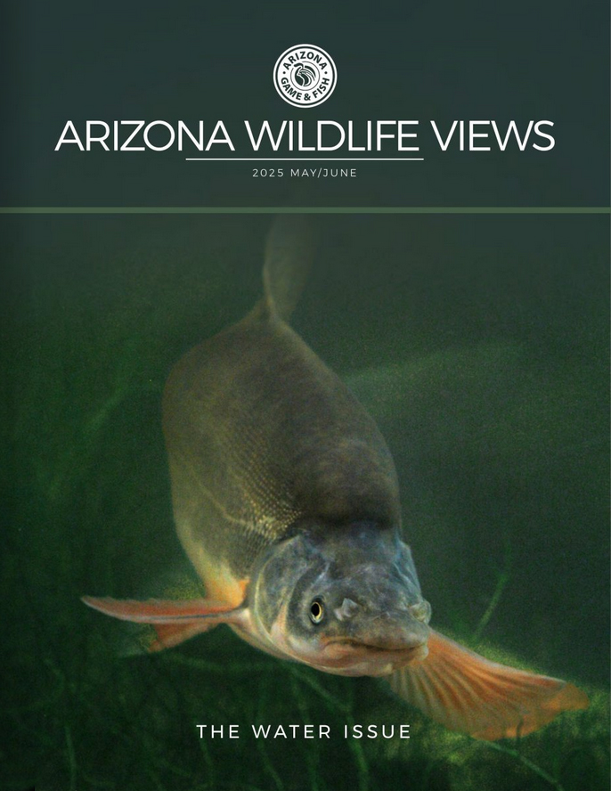 Arizona Wildlife Views May 01, 2025 Issue Cover
