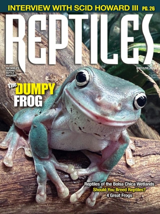 Reptiles May 01, 2026 Issue Cover