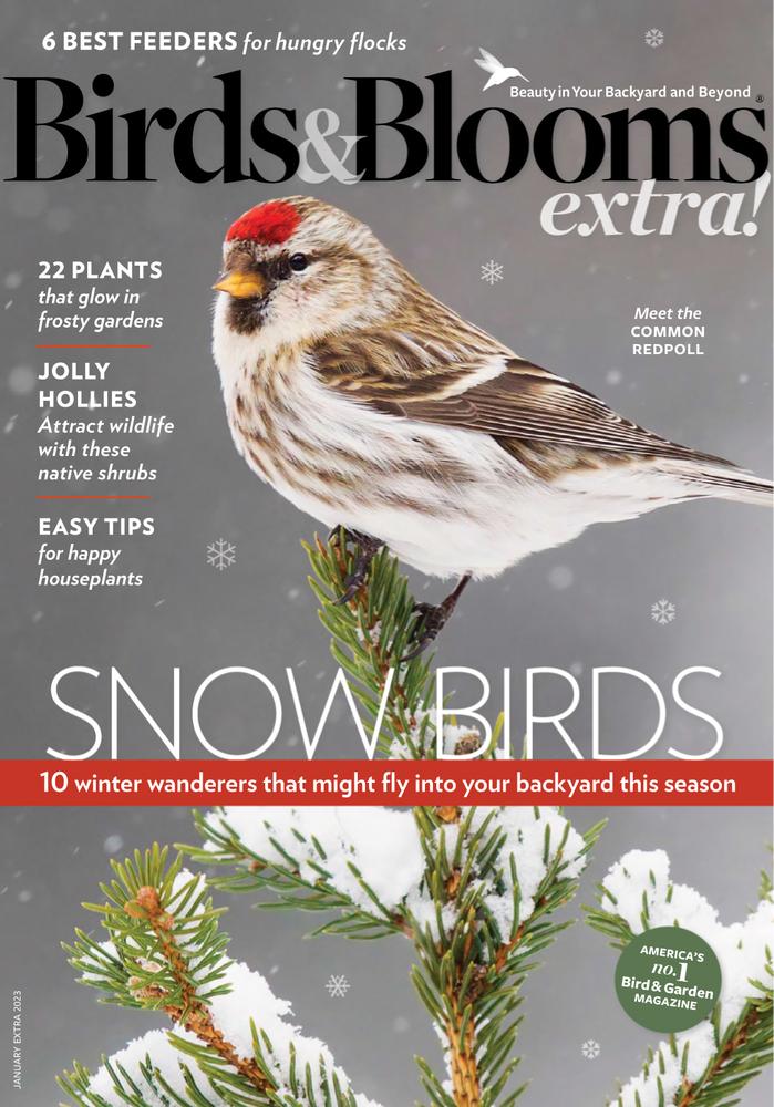 Birds Blooms Extra Subscription
