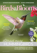 Birds & Blooms June 01, 2025 Issue Cover