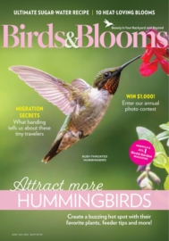 Birds-and-Blooms June 01, 2025 Issue Cover