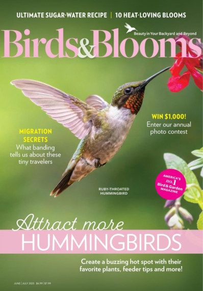 Birds & Blooms June 01, 2025 Issue Cover