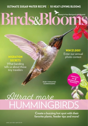 Birds & Blooms (6 Issues)