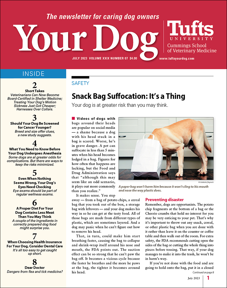 Your-Dog July 01, 2023 Issue Cover