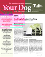 Your-Dog July 01, 2023 Issue Cover