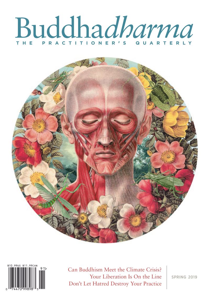 BUDDHADHARMA-THE-PRACTIONERS-QUARTERLY March 01, 2019 Issue Cover