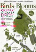 Birds-and-Blooms December 01, 2019 Issue Cover