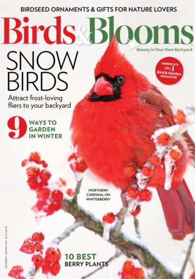 Birds & Blooms December 01, 2019 Issue Cover