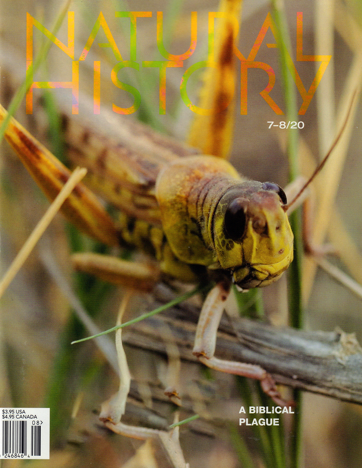 Natural-History July 01, 2020 Issue Cover