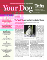 Your Dog June 01, 2024 Issue Cover