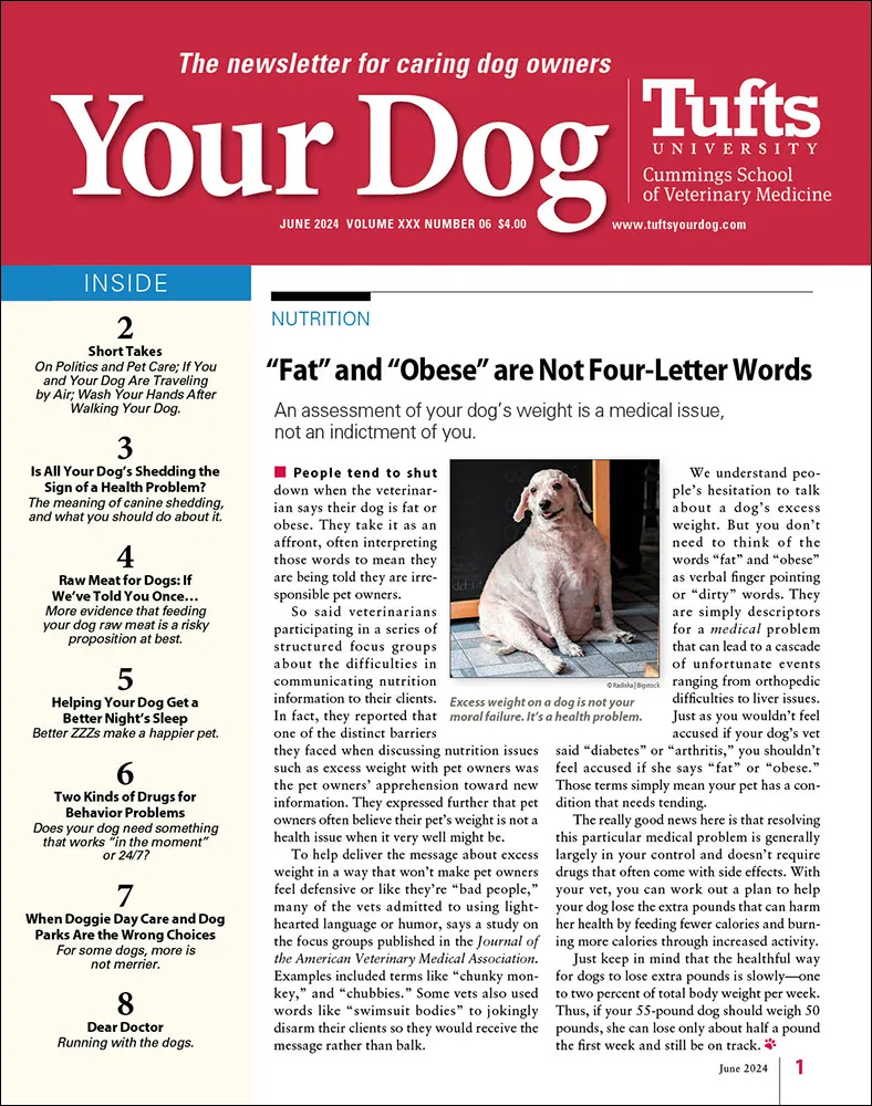 Your-Dog June 01, 2024 Issue Cover