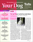 Your Dog June 01, 2024 Issue Cover