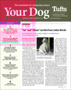 Your Dog June 01, 2024 Issue Cover