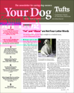 Your-Dog June 01, 2024 Issue Cover