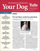 Your Dog June 01, 2024 Issue Cover