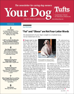 More Details about Your Dog Magazine