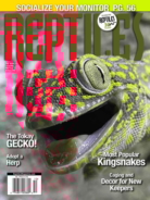 Reptiles September 01, 2023 Issue Cover