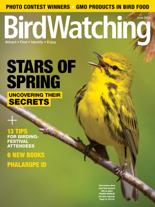 Bird-Watching June 01, 2020 Issue Cover