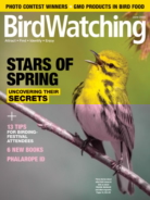Bird-Watching June 01, 2020 Issue Cover