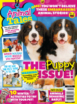Animal-Tales February 01, 2023 Issue Cover