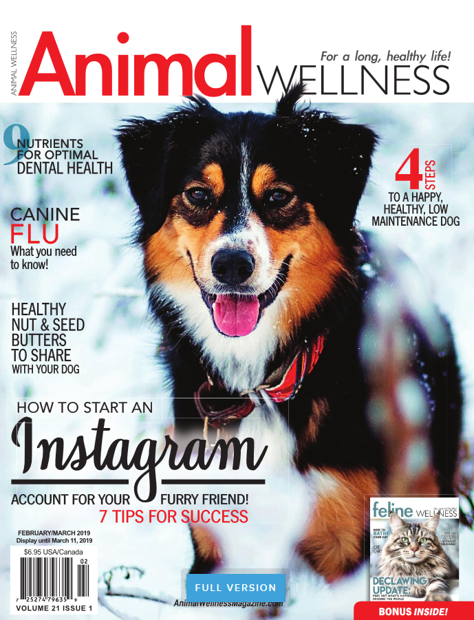 Animal-Wellness February 01, 2019 Issue Cover