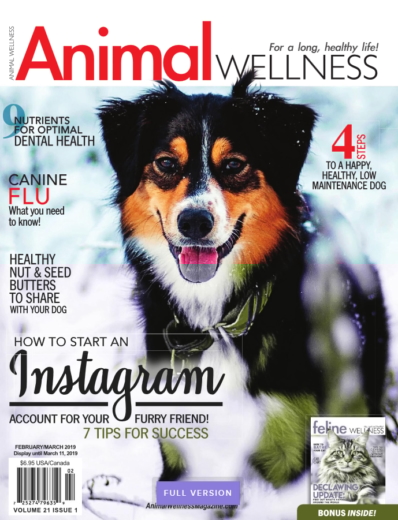 Animal Wellness February 01, 2019 Issue Cover