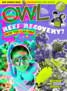 OWL May 01, 2017 Issue Cover