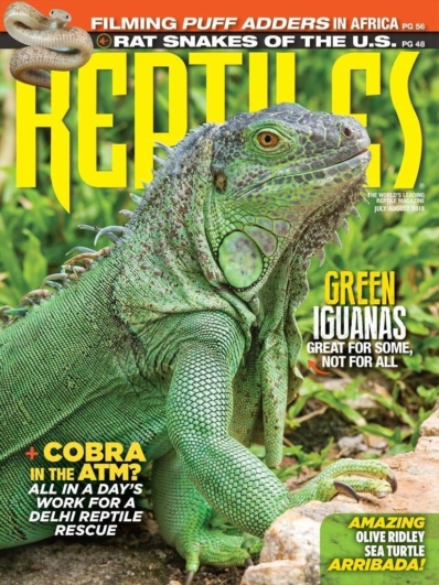 Reptiles July 01, 2018 Issue Cover