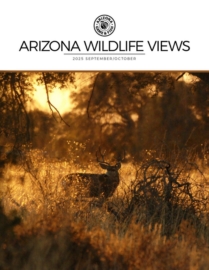 Arizona-Wildlife-Views September 01, 2025 Issue Cover