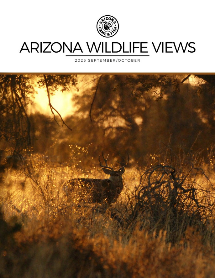 Arizona Wildlife Views September 01, 2025 Issue Cover