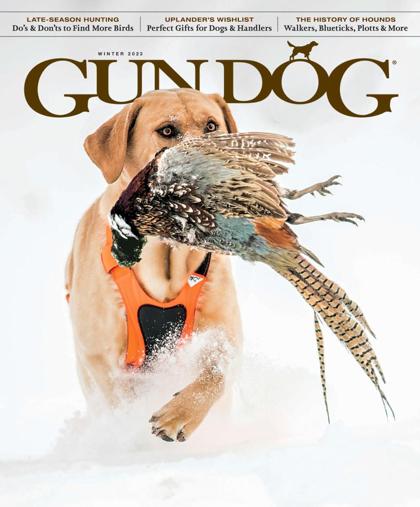 Gun-Dog December 01, 2022 Issue Cover