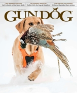 Gun-Dog December 01, 2022 Issue Cover