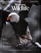 Wyoming-Wildlife March 01, 2016 Issue Cover