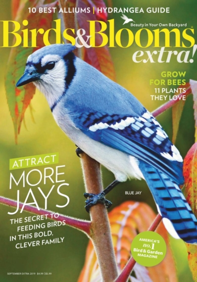 Birds & Blooms Extra September 01, 2019 Issue Cover