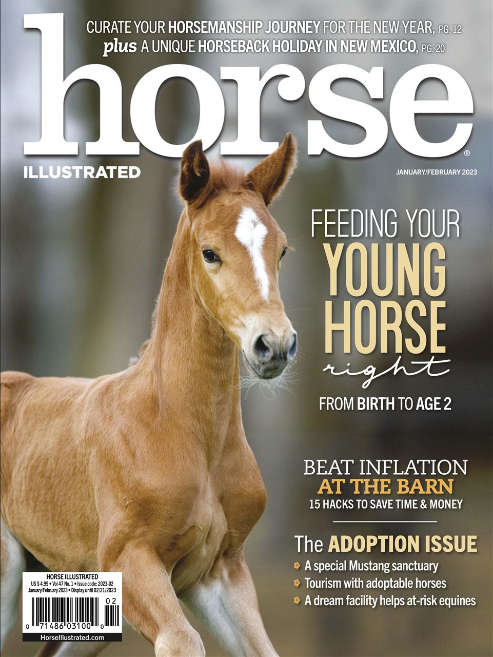 Horse-Illustrated January 01, 2023 Issue Cover