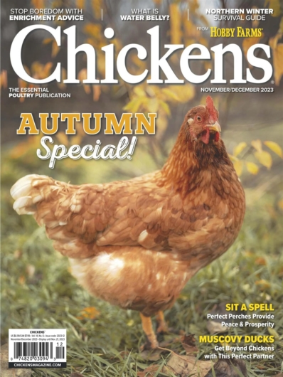 Subscribe to Chickens Magazine