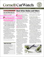 Catwatch May 01, 2023 Issue Cover