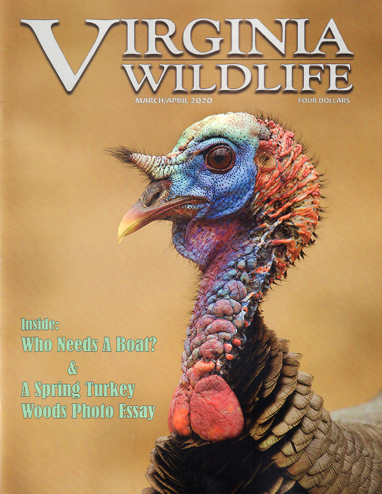 Virginia-Wildlife March 01, 2020 Issue Cover