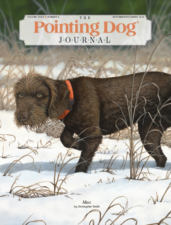 The-Pointing-Dog-Journal November 01, 2024 Issue Cover