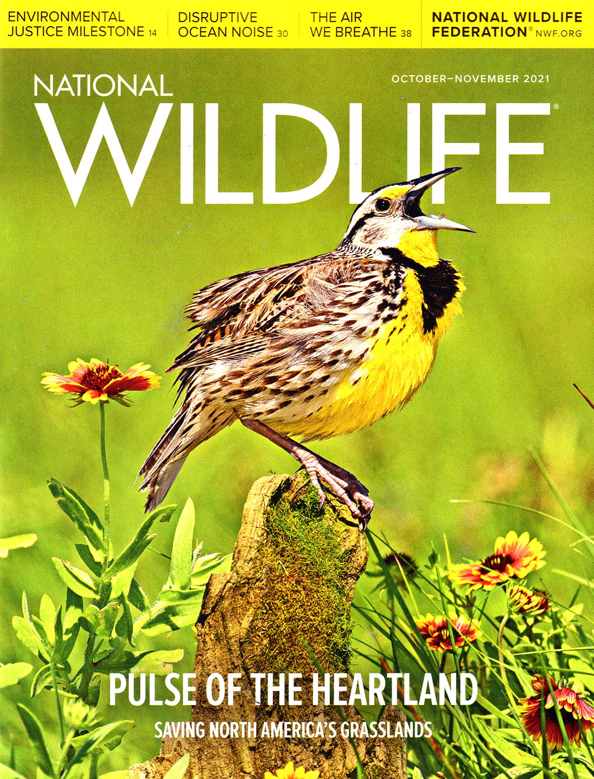 National-Wildlife October 01, 2021 Issue Cover