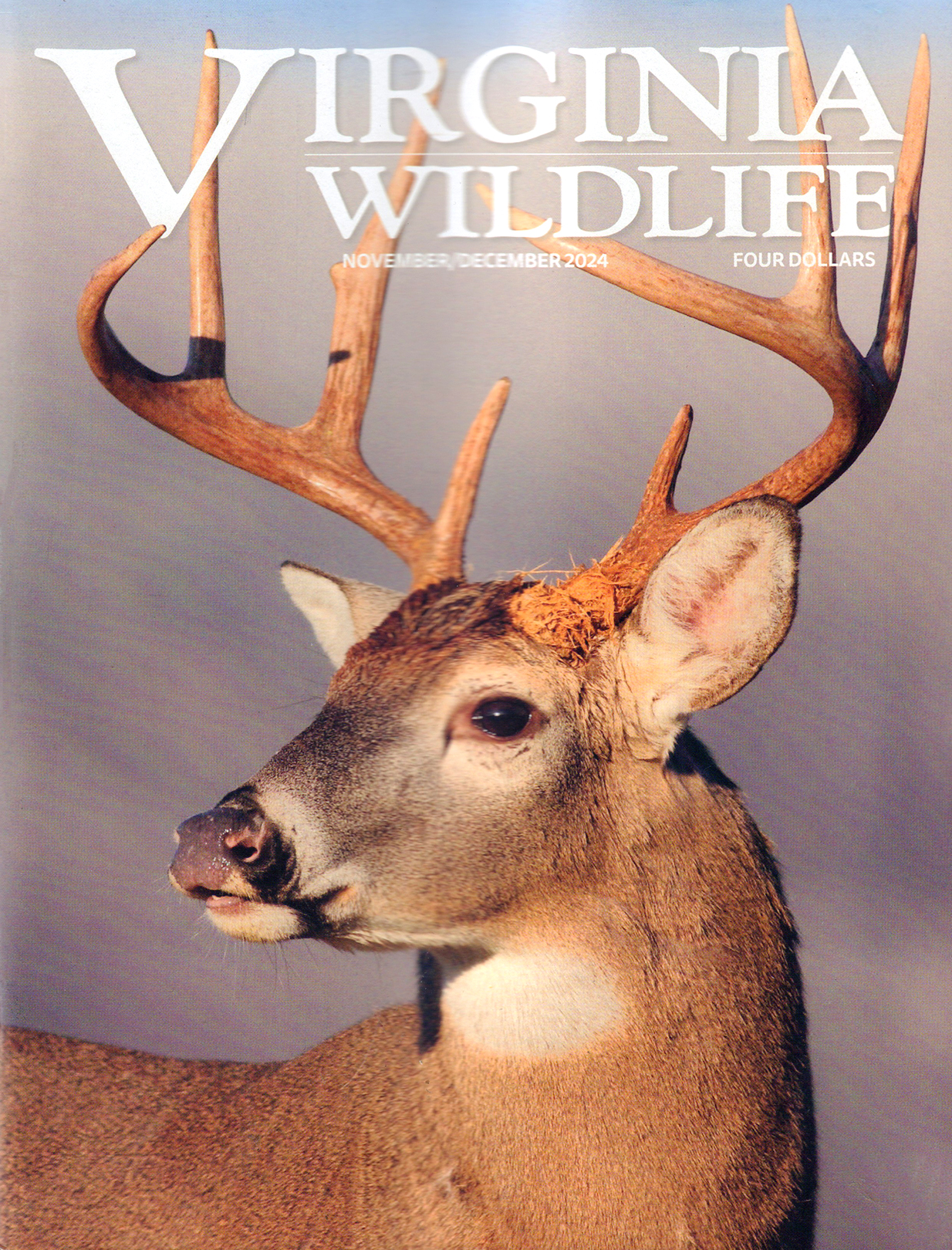 Virginia-Wildlife November 01, 2024 Issue Cover