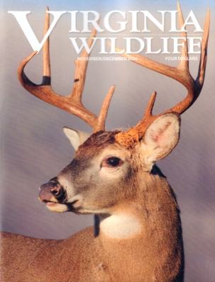 Virginia Wildlife Magazine Subscription