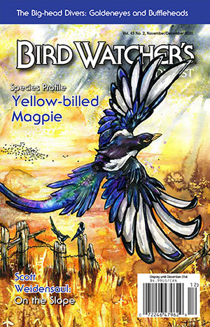 Bird-Watchers-Digest November 01, 2020 Issue Cover