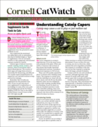 Catwatch February 01, 2026 Issue Cover