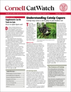 Catwatch February 01, 2026 Issue Cover