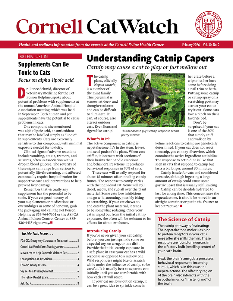 Catwatch February 01, 2026 Issue Cover